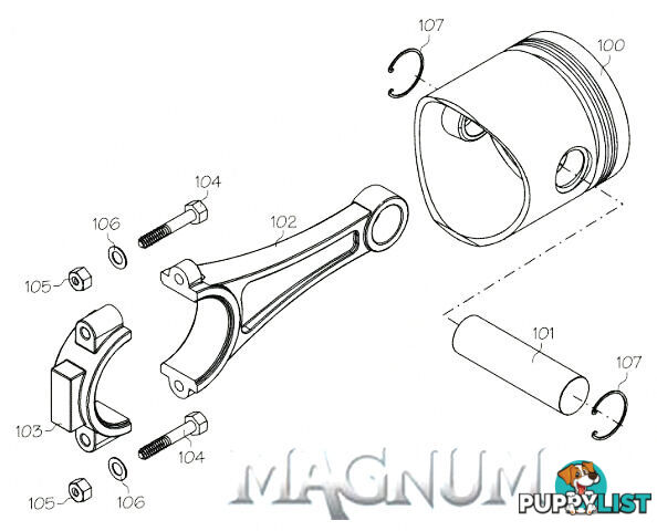 12109 (MAGNUM ENGINE PART) FRONT BEARING