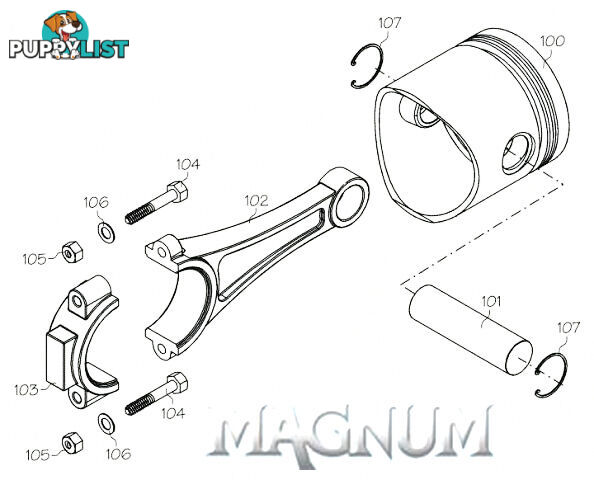 160K (MAGNUM ENGINE PART) BACKPLATE BOLT SET FT160AR