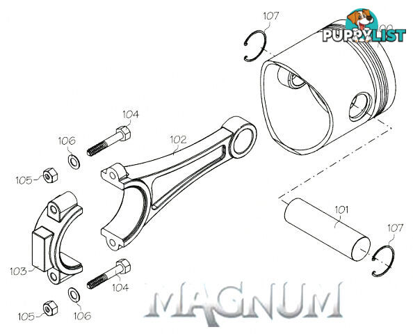 FS120213 (MAGNUM ENGINE PART) PISTON PIN & RETAINER