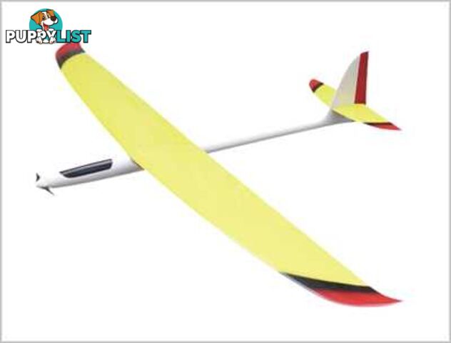 GINGER Electric Composite Glider 2M TY1