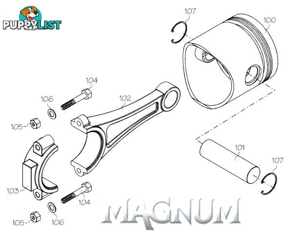 120901 (MAGNUM ENGINE PART) SCREW SET