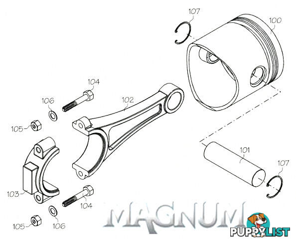 30605 (MAGNUM ENGINE PART) NUT-2