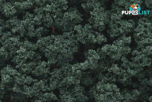 WOODLAND SCENICS  FC147 BUSHES DARK GREEN 24 - Woodland Scenics