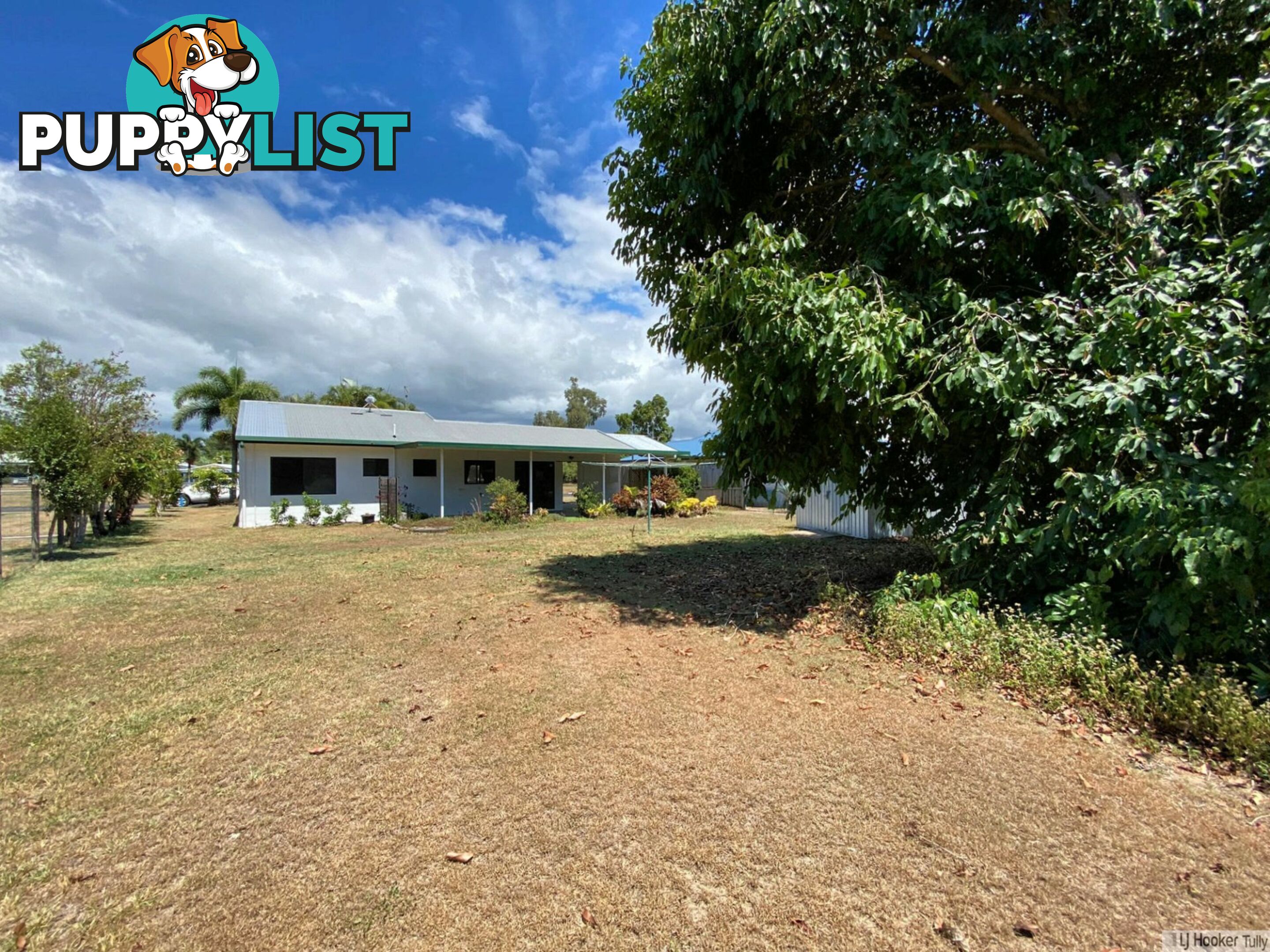 14 Muir Street TULLY HEADS QLD 4854