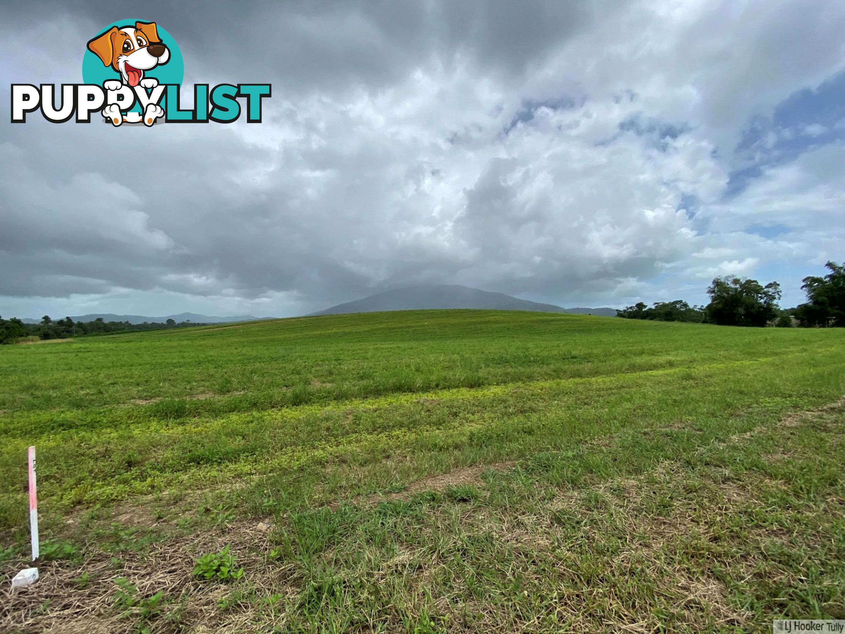 LOT 2 Keir Road TULLY QLD 4854