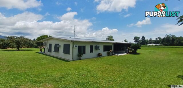 560 Rockingham road ROCKINGHAM QLD 4854