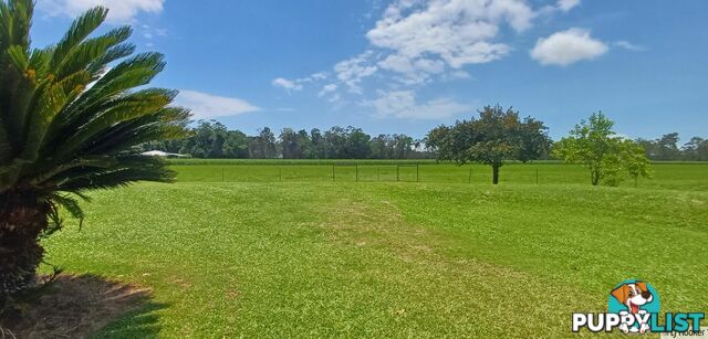 560 Rockingham road ROCKINGHAM QLD 4854