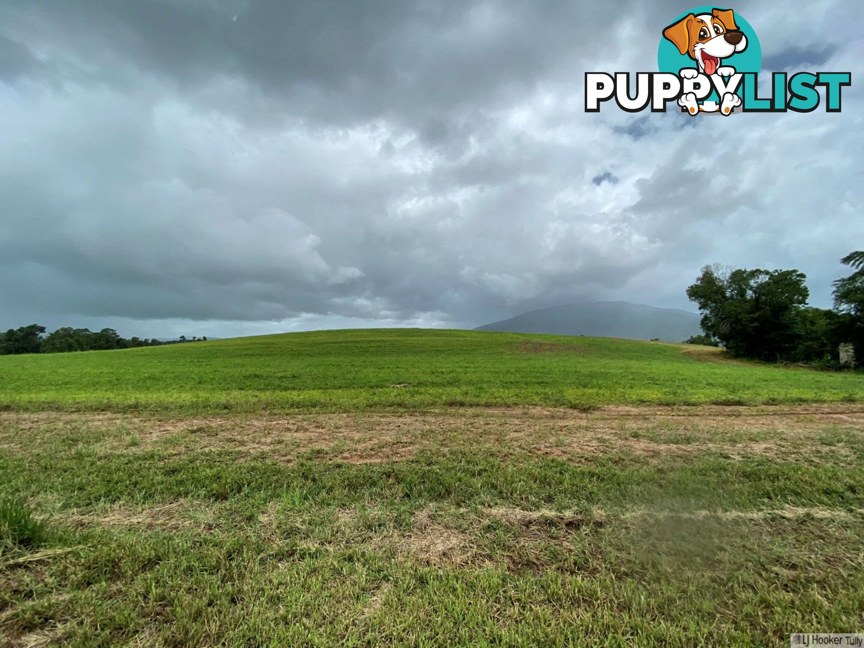 LOT 1 Keir Road TULLY QLD 4854