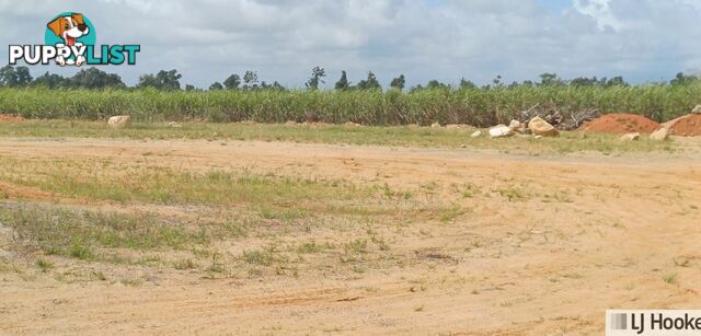 Lot 1 Jack Evans Drive SILKY OAK QLD 4854