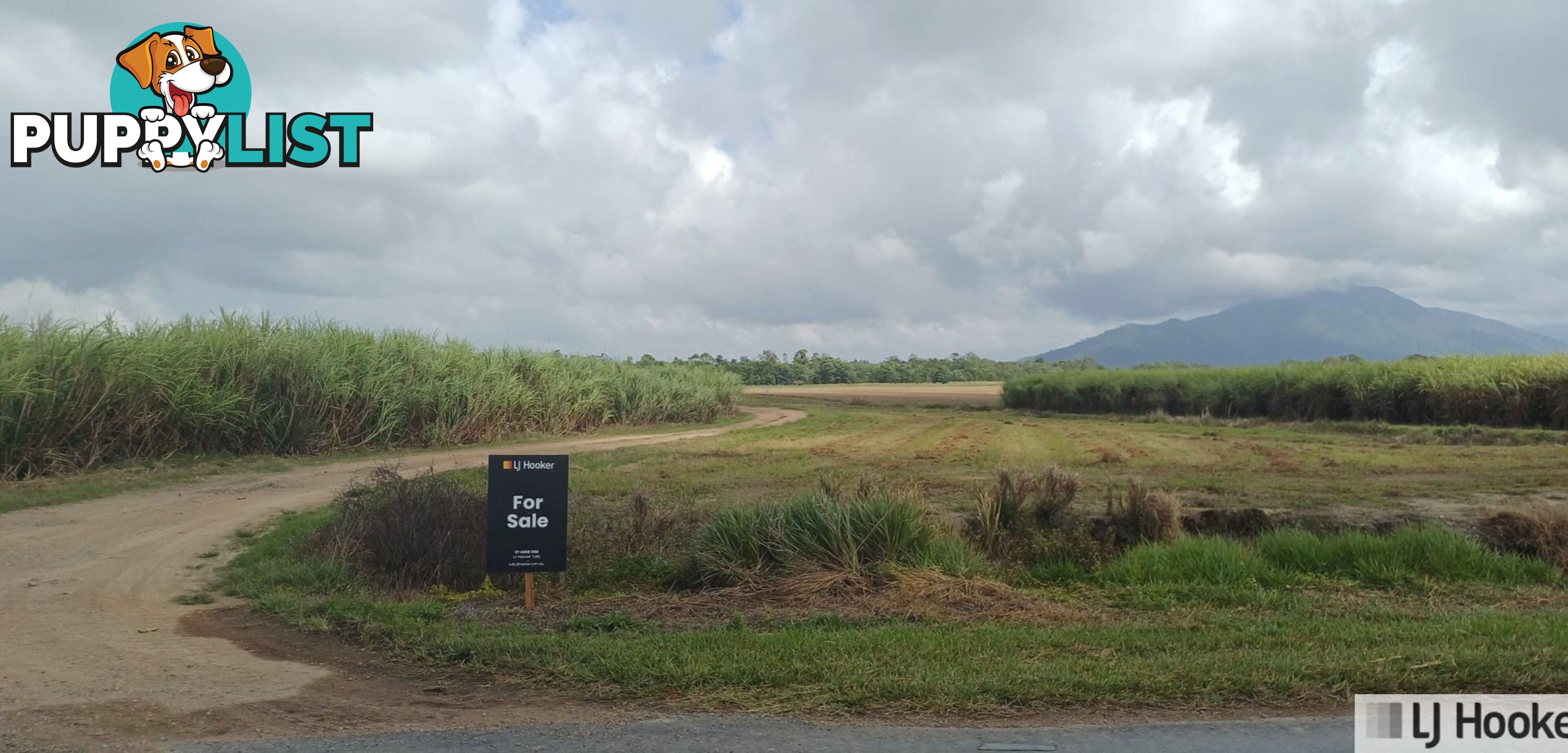 Lot 1 Jack Evans Drive SILKY OAK QLD 4854