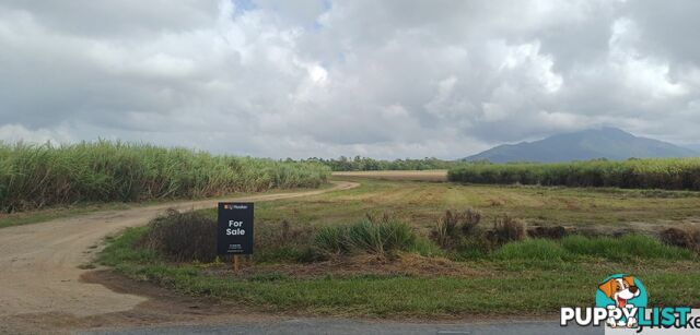 Lot 1 Jack Evans Drive SILKY OAK QLD 4854