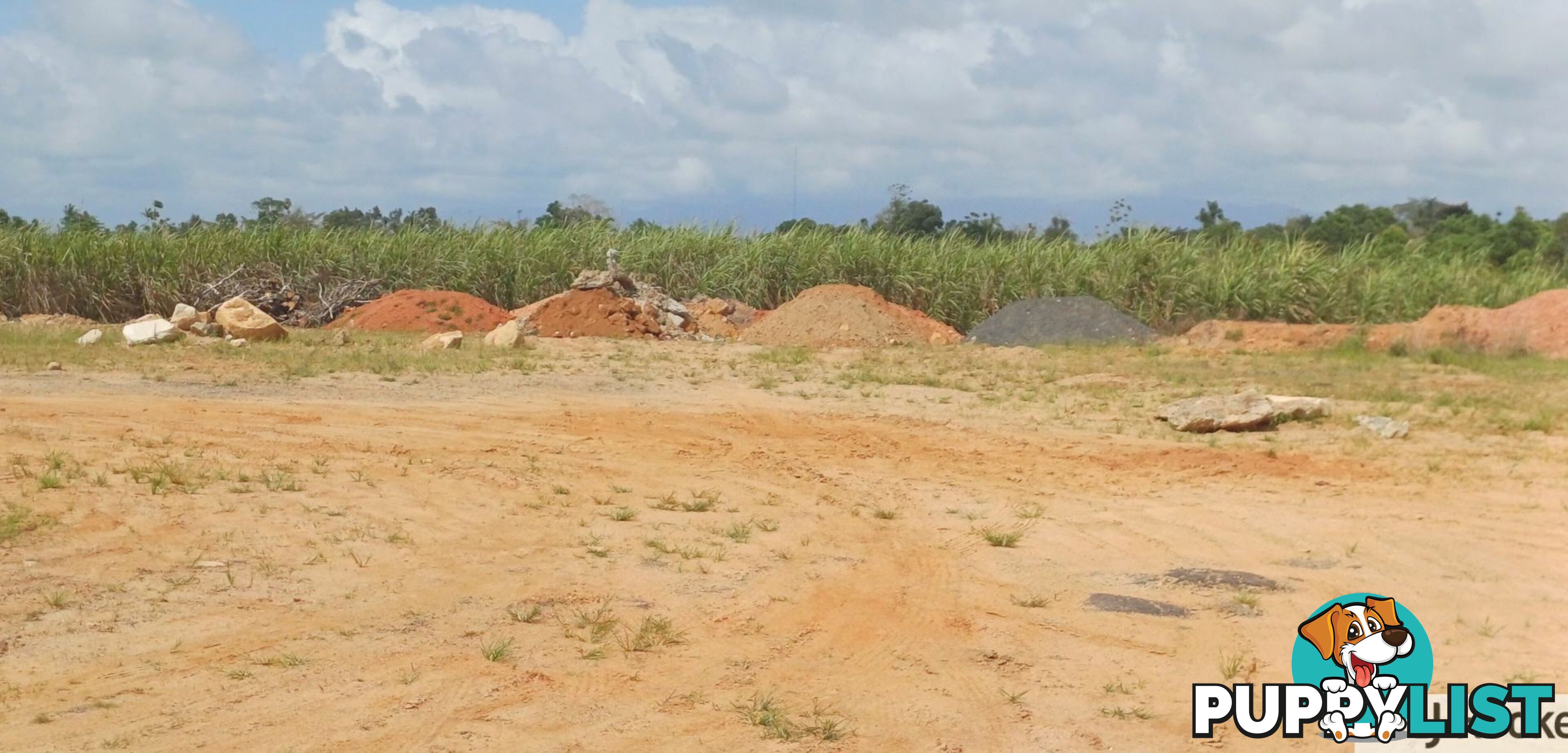 Lot 1 Jack Evans Drive SILKY OAK QLD 4854