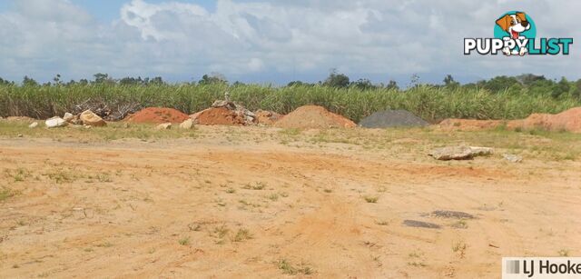 Lot 1 Jack Evans Drive SILKY OAK QLD 4854