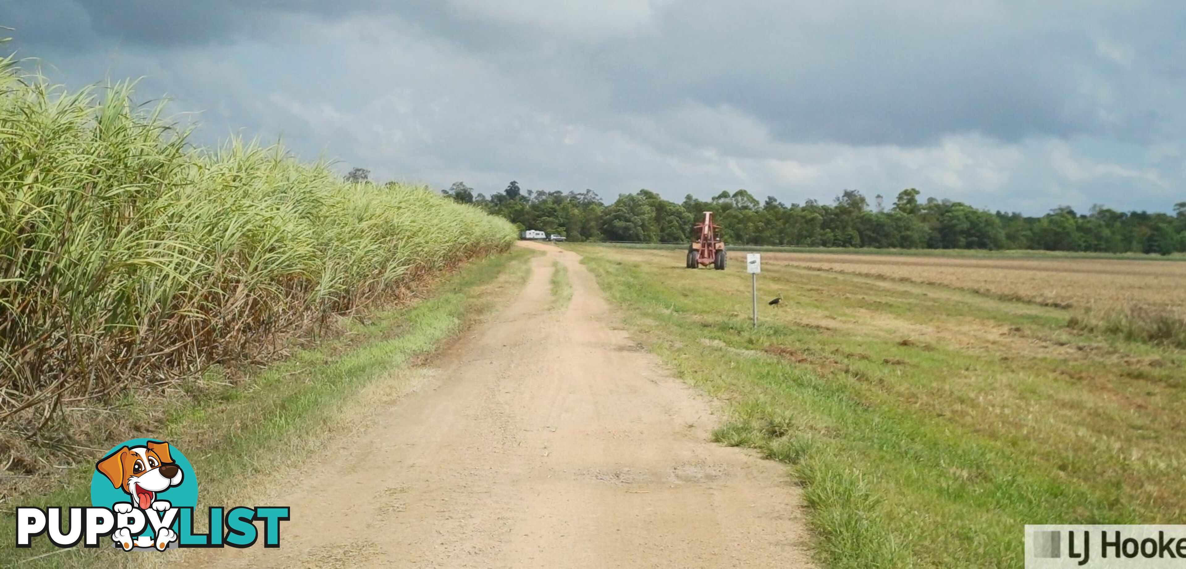 Lot 1 Jack Evans Drive SILKY OAK QLD 4854