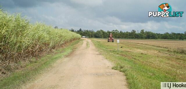 Lot 1 Jack Evans Drive SILKY OAK QLD 4854