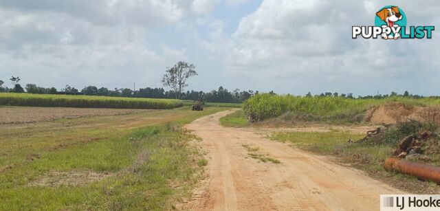 Lot 1 Jack Evans Drive SILKY OAK QLD 4854