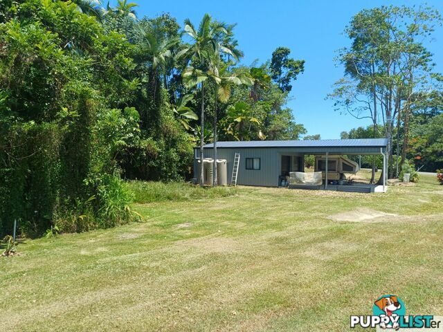 23 Coolibah Street WONGALING BEACH QLD 4852