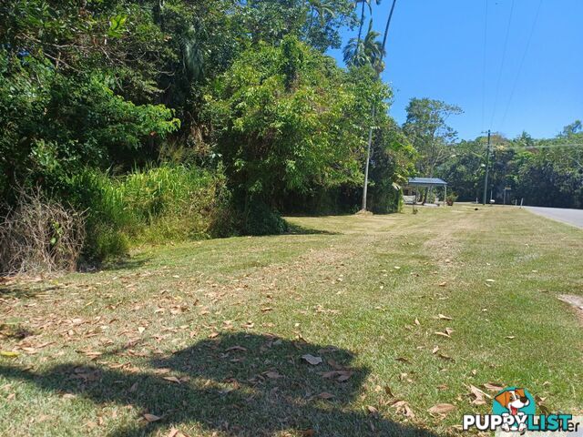 23 Coolibah Street WONGALING BEACH QLD 4852