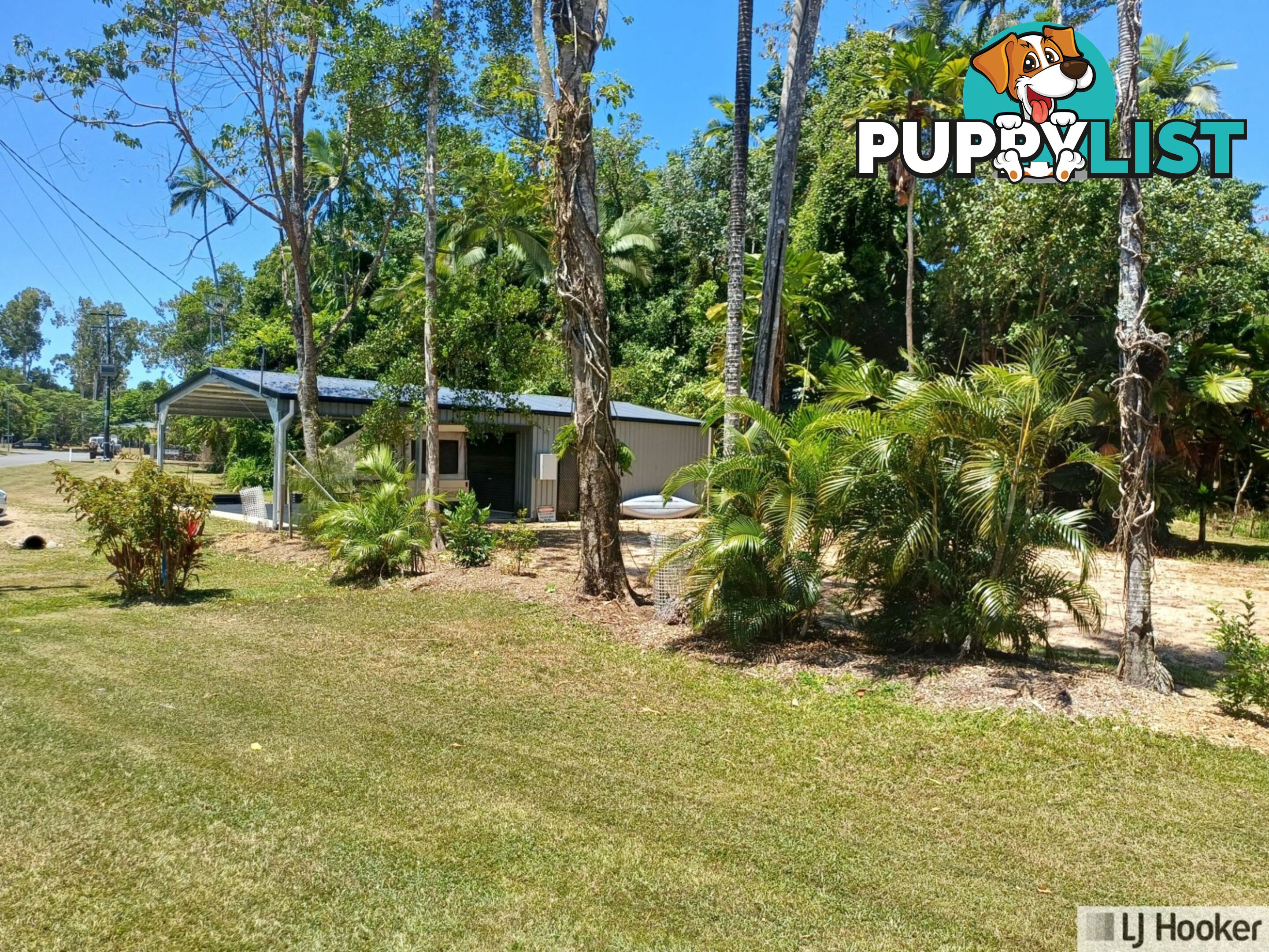 23 Coolibah Street WONGALING BEACH QLD 4852