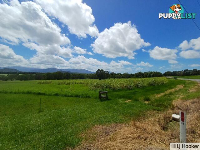 L10 Davidson Road MUNRO PLAINS QLD 4854