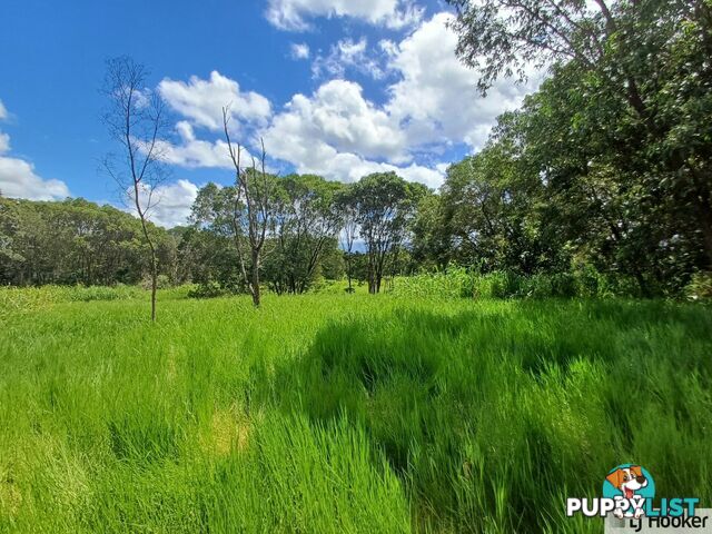 L10 Davidson Road MUNRO PLAINS QLD 4854