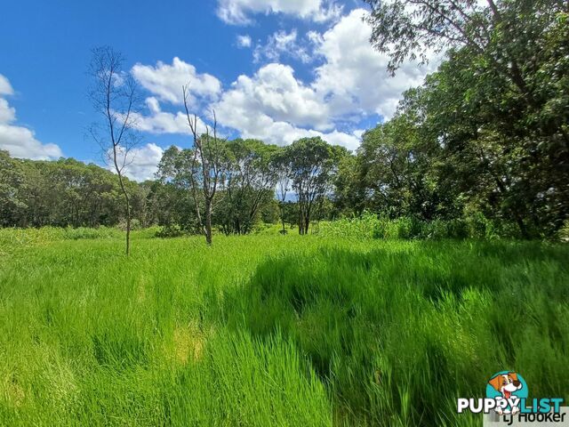 L10 Davidson Road MUNRO PLAINS QLD 4854