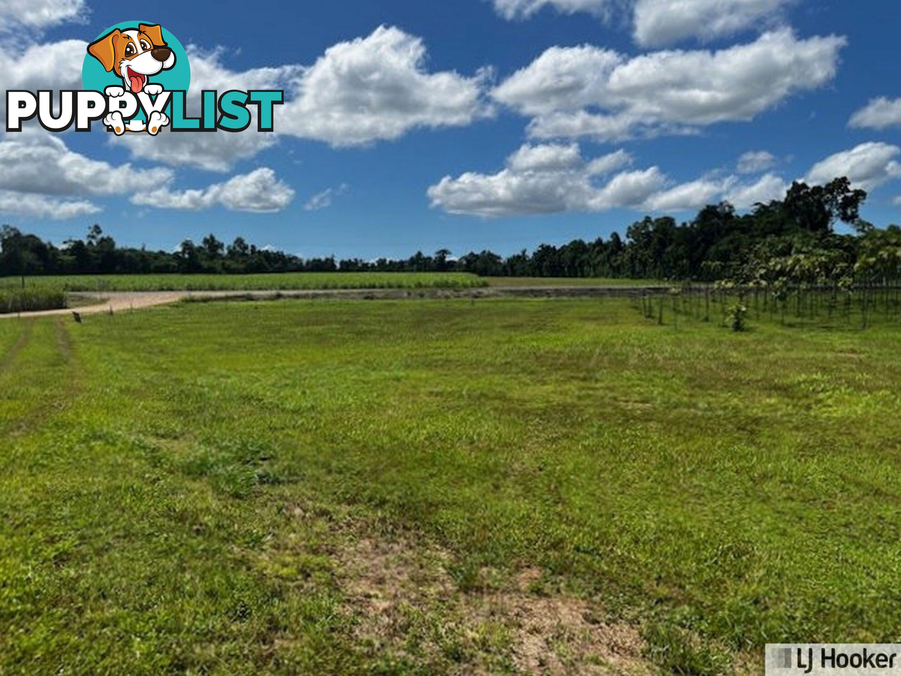 Lot 9 Andy Sorbello Road SILKY OAK QLD 4854