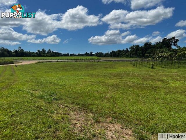 Lot 9 Andy Sorbello Road SILKY OAK QLD 4854