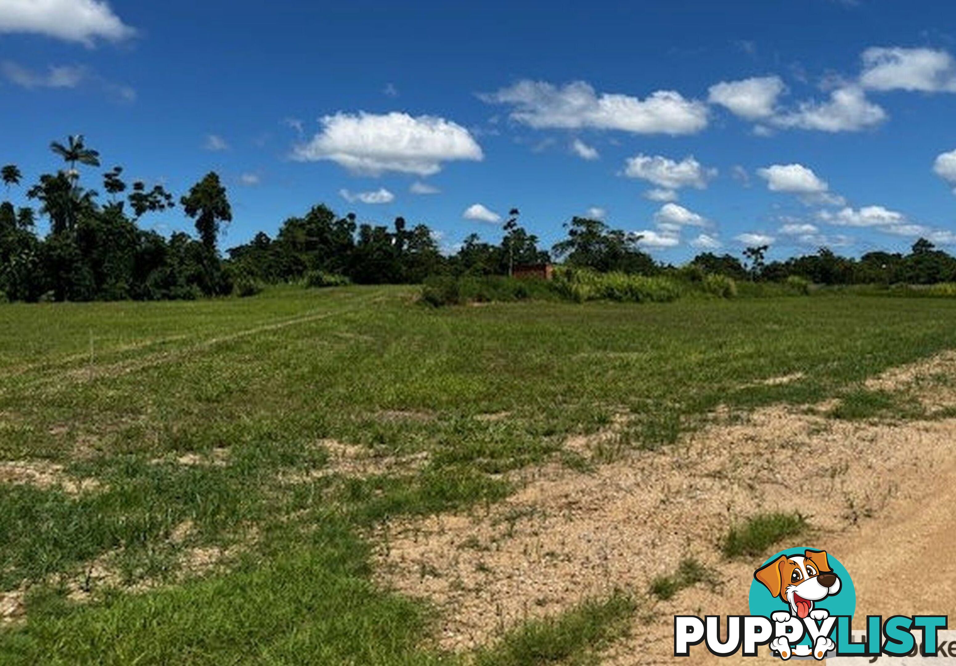 Lot 9 Andy Sorbello Road SILKY OAK QLD 4854