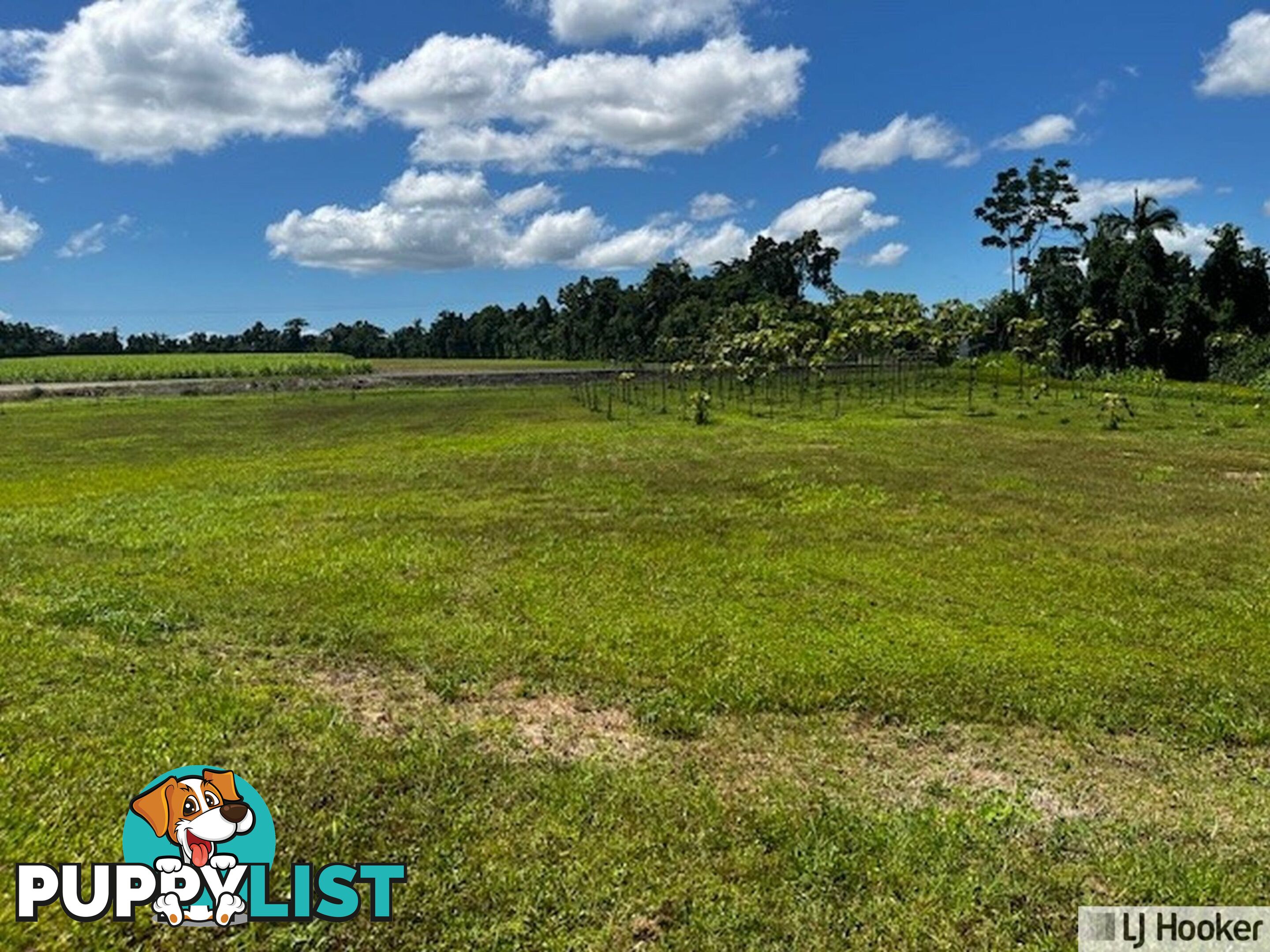 Lot 9 Andy Sorbello Road SILKY OAK QLD 4854