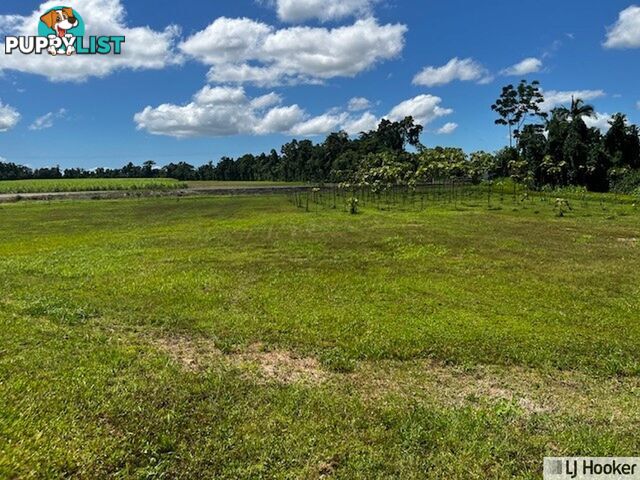 Lot 9 Andy Sorbello Road SILKY OAK QLD 4854