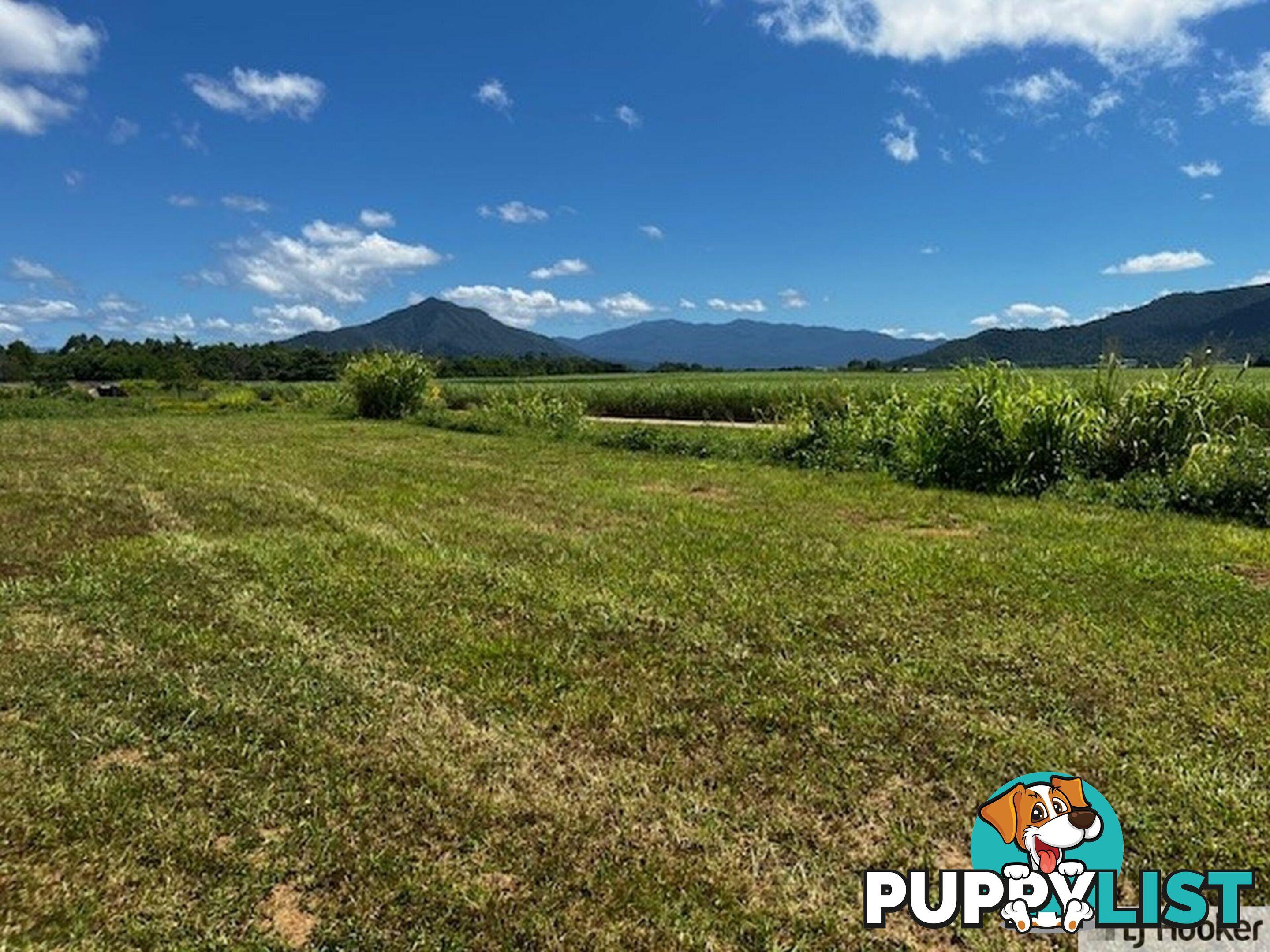 Lot 9 Andy Sorbello Road SILKY OAK QLD 4854