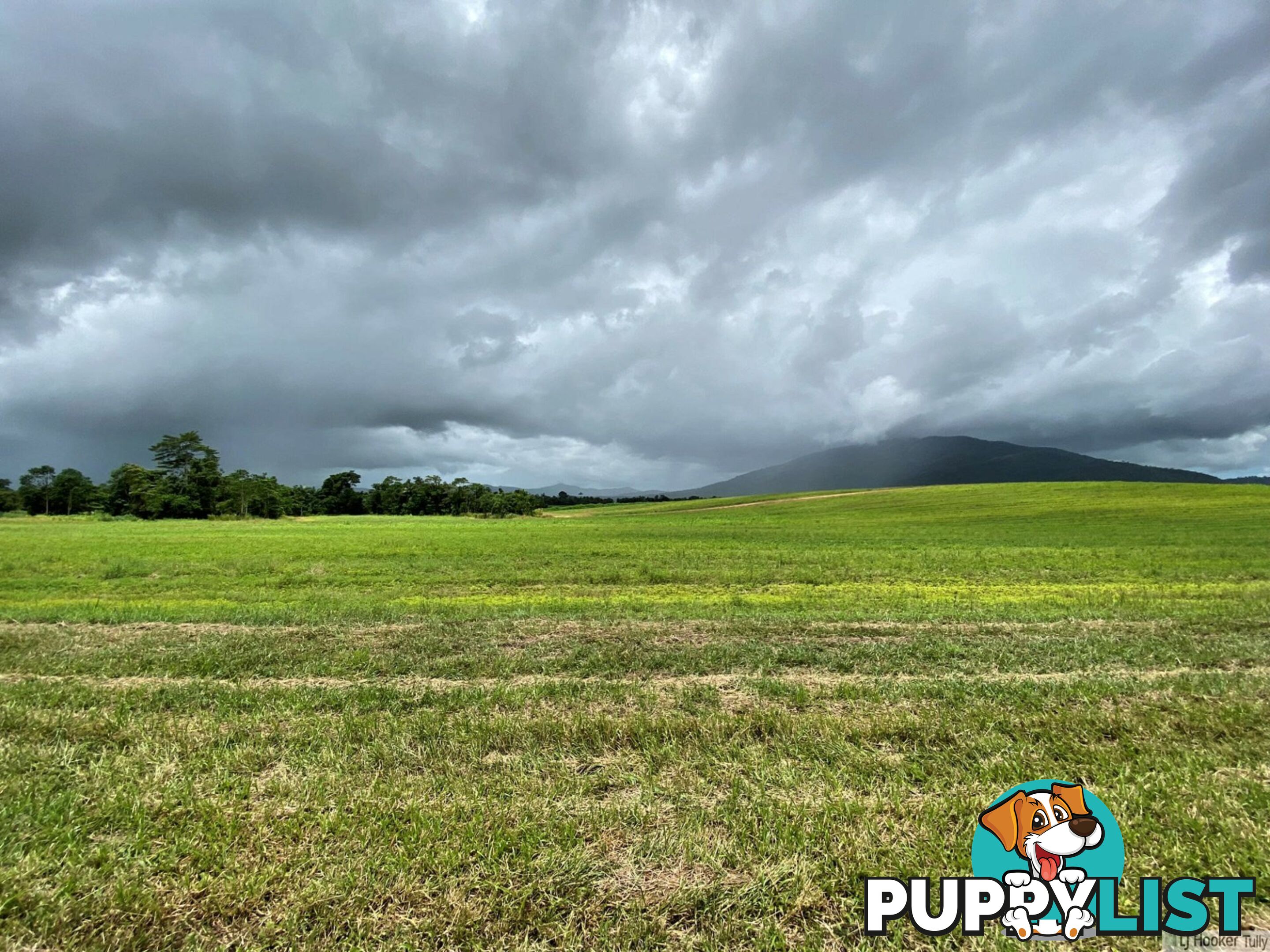 LOT 3 Keir Road TULLY QLD 4854