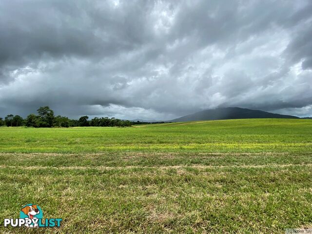 LOT 3 Keir Road TULLY QLD 4854