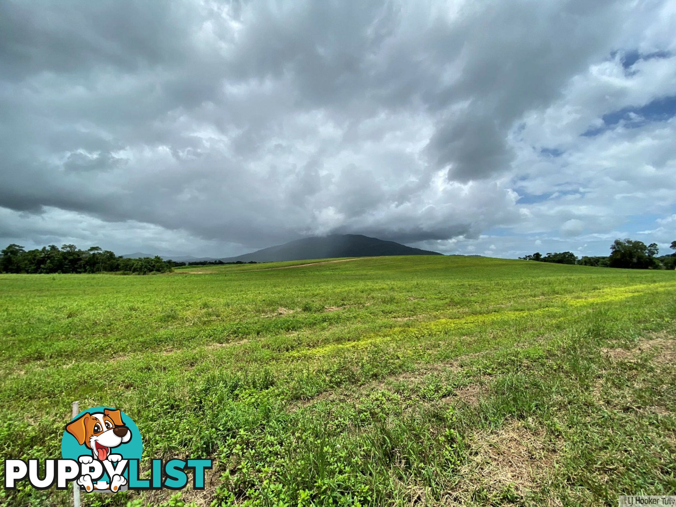 LOT 3 Keir Road TULLY QLD 4854