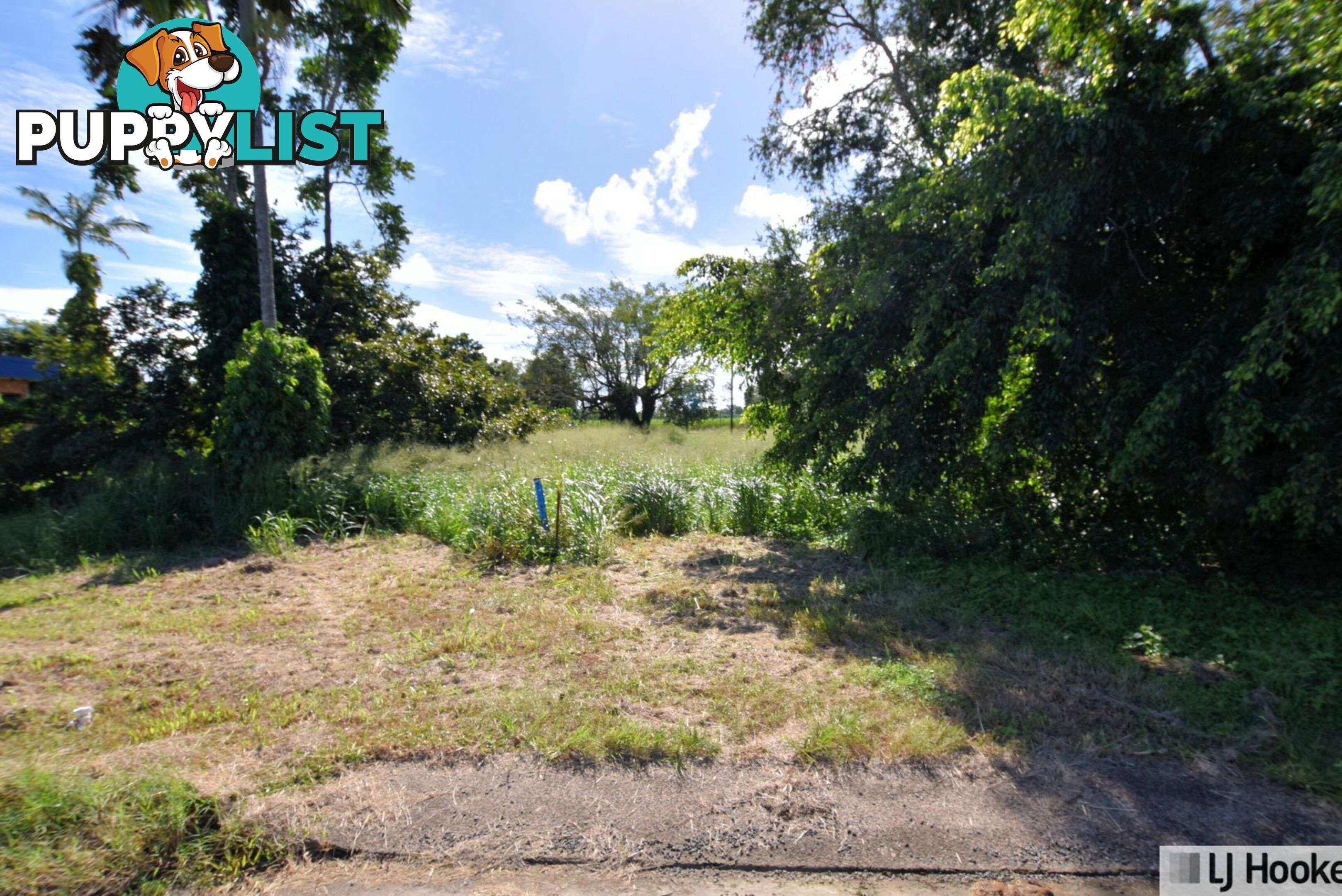 15 Euramo Road EURAMO QLD 4854