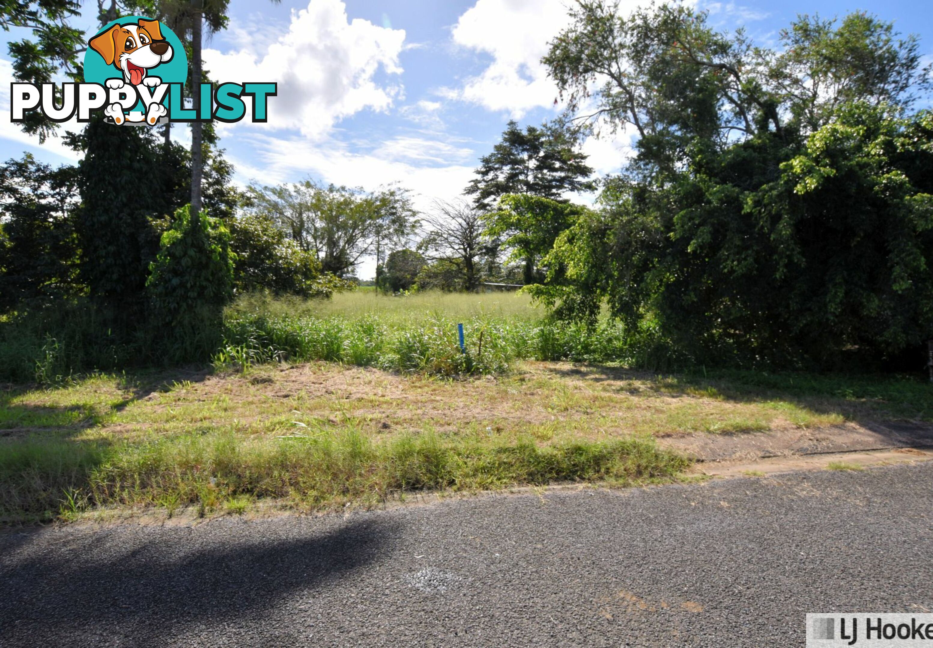 15 Euramo Road EURAMO QLD 4854