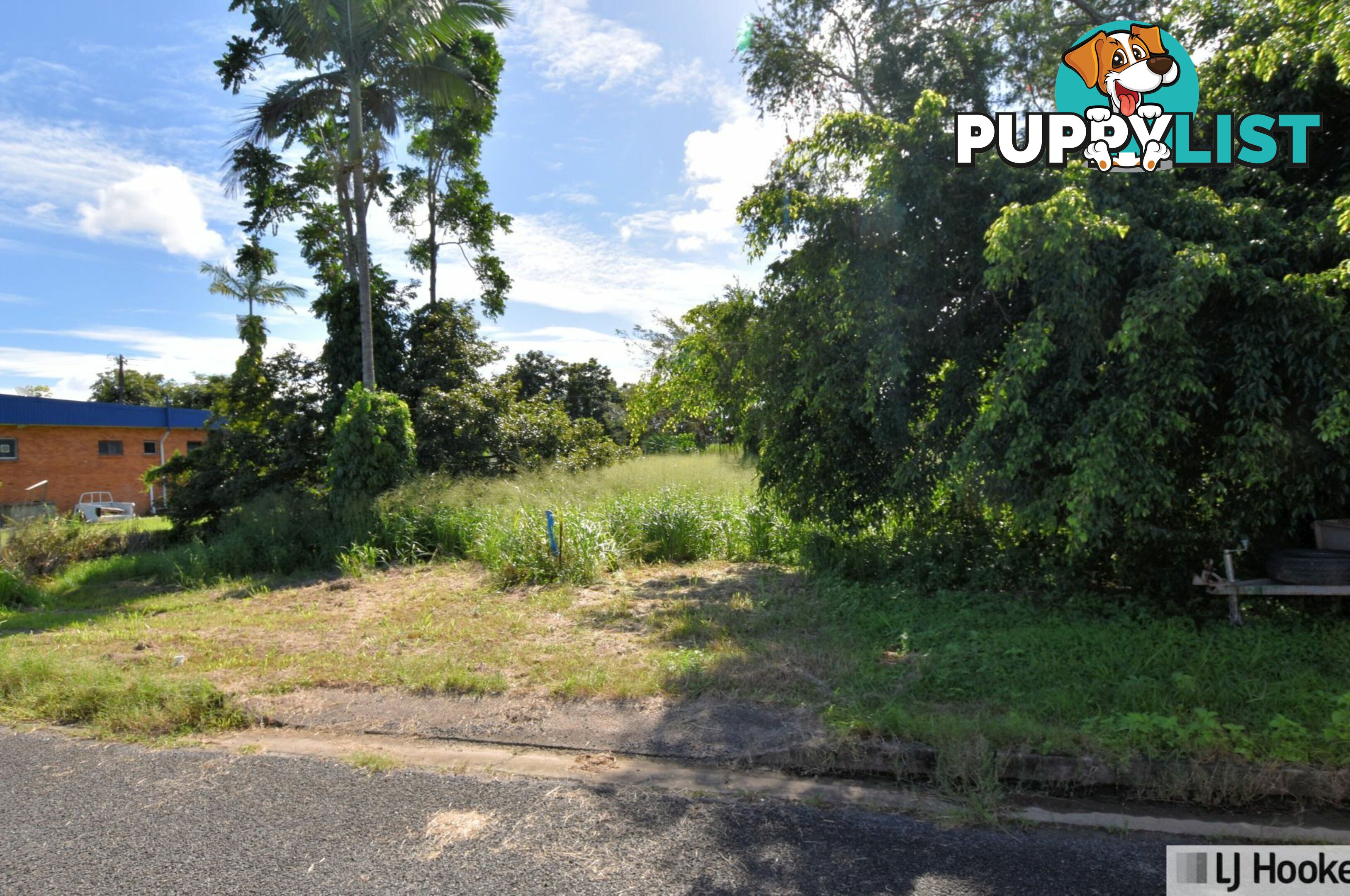 15 Euramo Road EURAMO QLD 4854