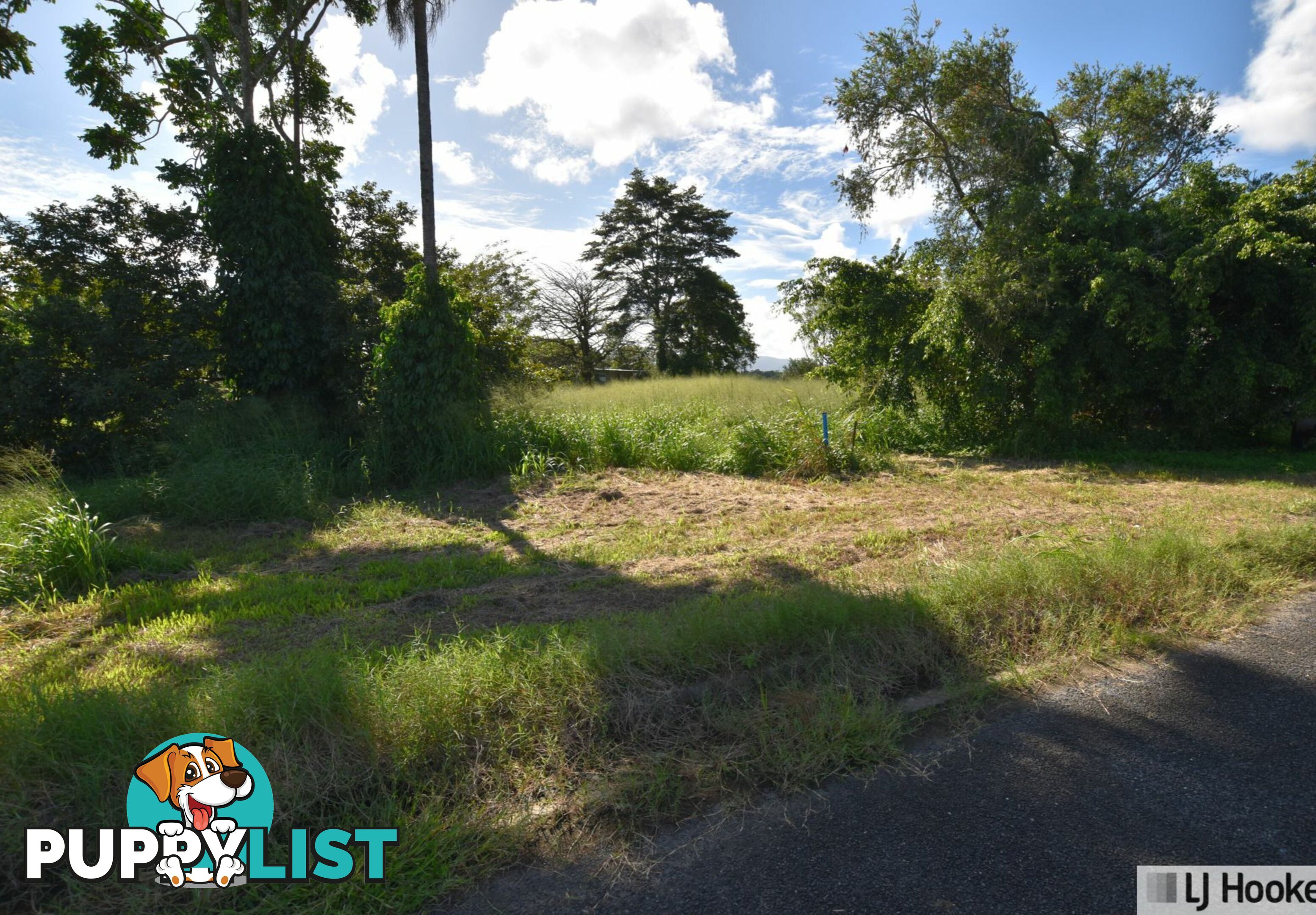 15 Euramo Road EURAMO QLD 4854