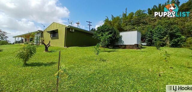 24 Kinjun Road DINGO POCKET QLD 4854