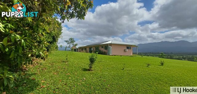 24 Kinjun Road DINGO POCKET QLD 4854