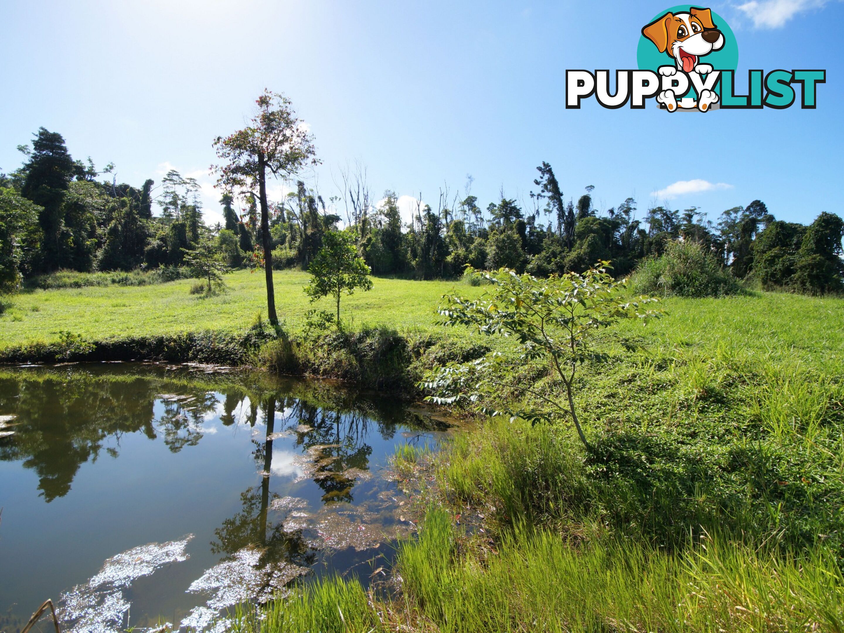 L17 Tully Gorge Road TULLY QLD 4854