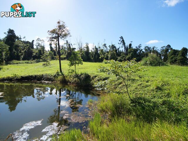 L17 Tully Gorge Road TULLY QLD 4854