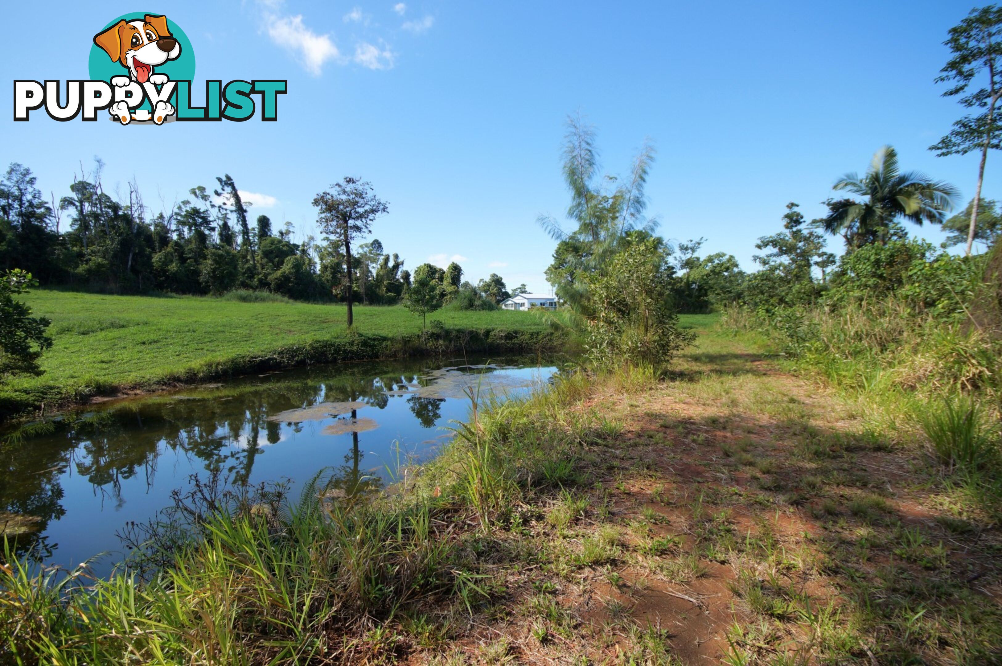 L17 Tully Gorge Road TULLY QLD 4854