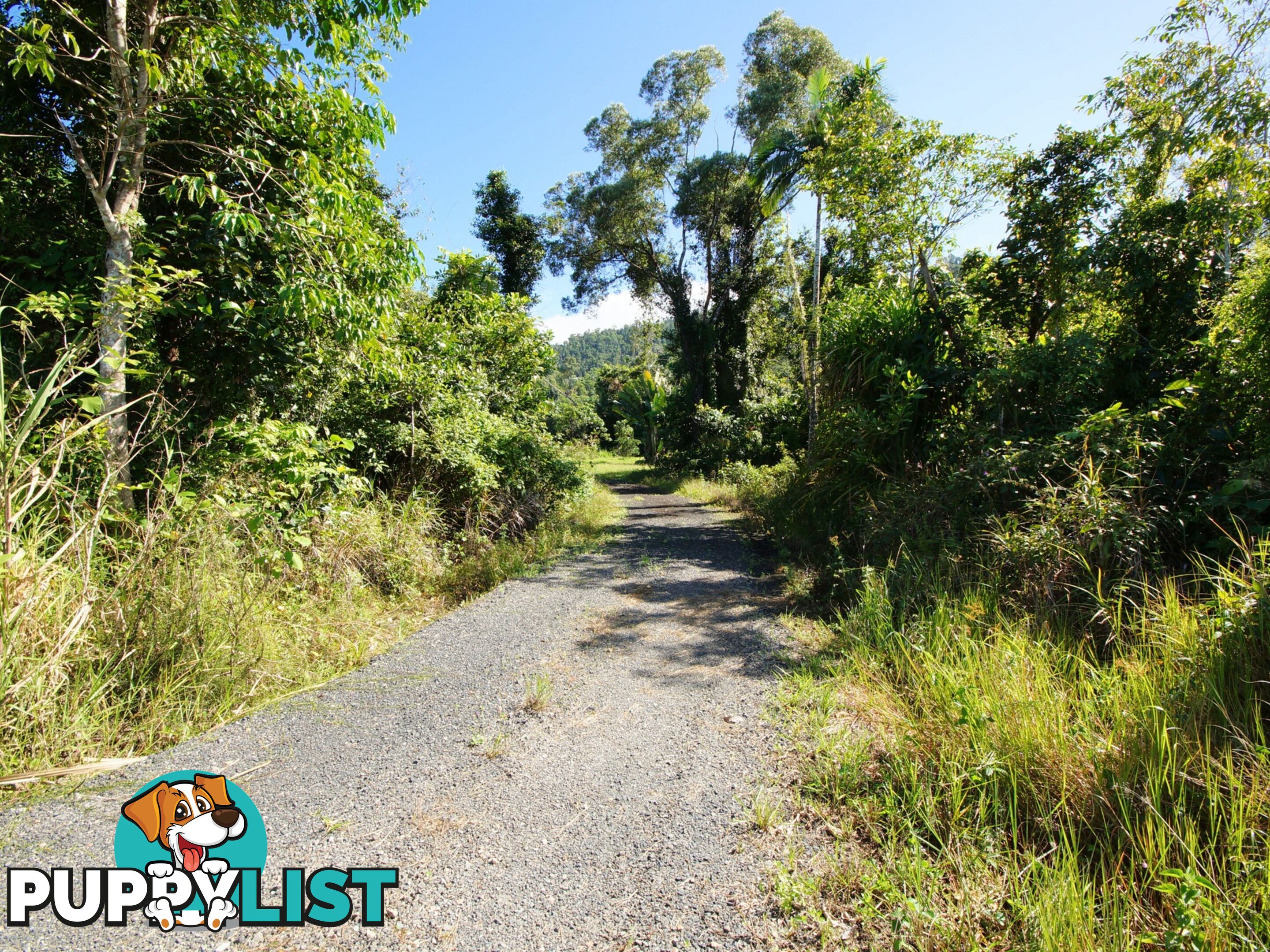 L17 Tully Gorge Road TULLY QLD 4854