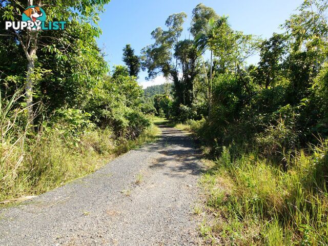 L17 Tully Gorge Road TULLY QLD 4854