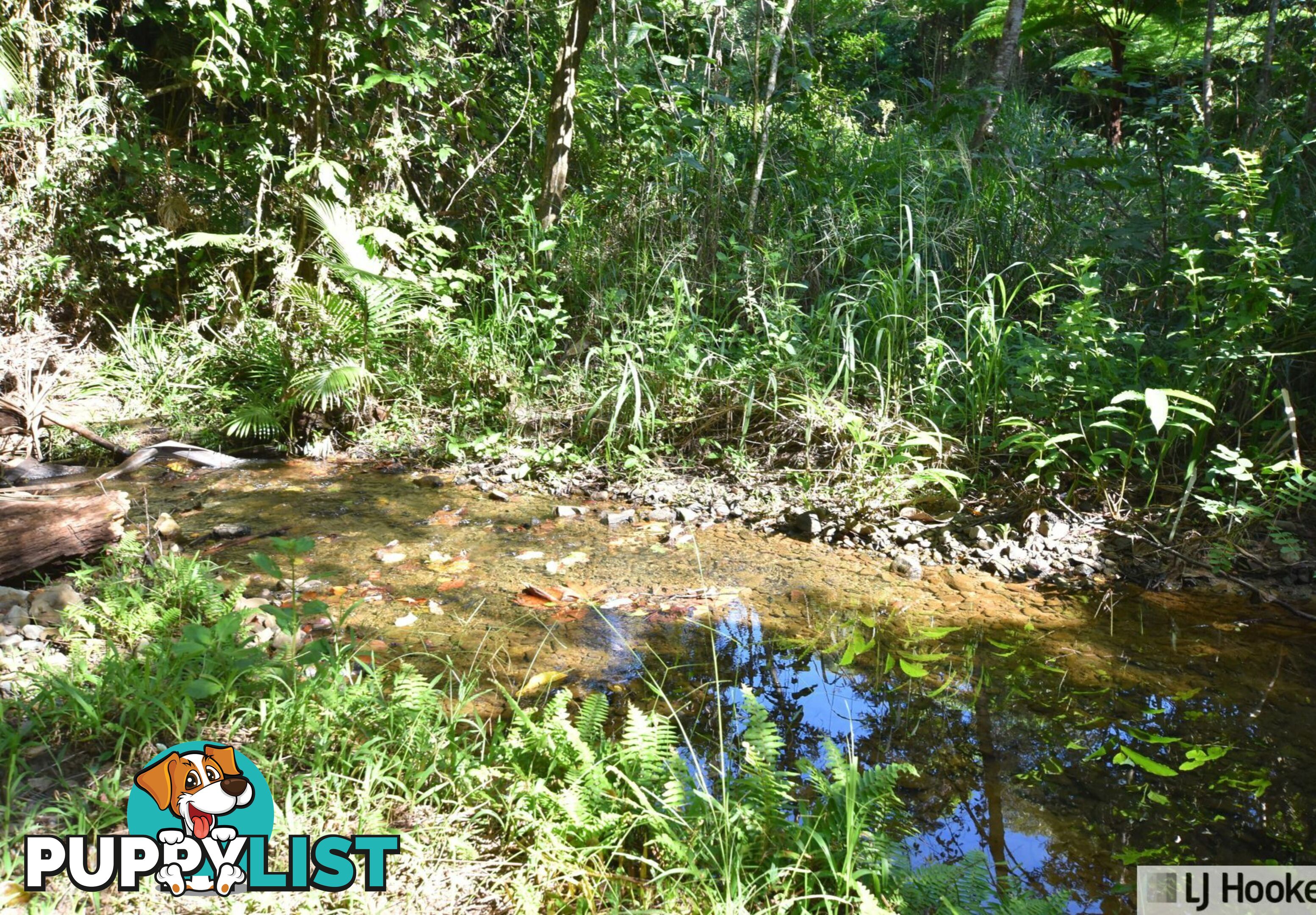 Lot 401 Granadilla Road GRANADILLA QLD 4855