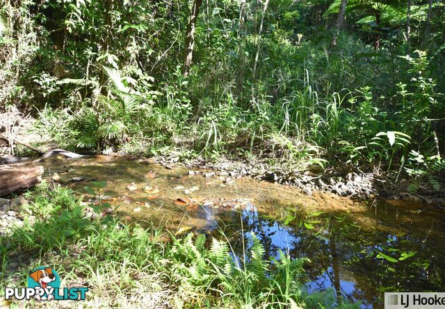 Lot 401 Granadilla Road GRANADILLA QLD 4855