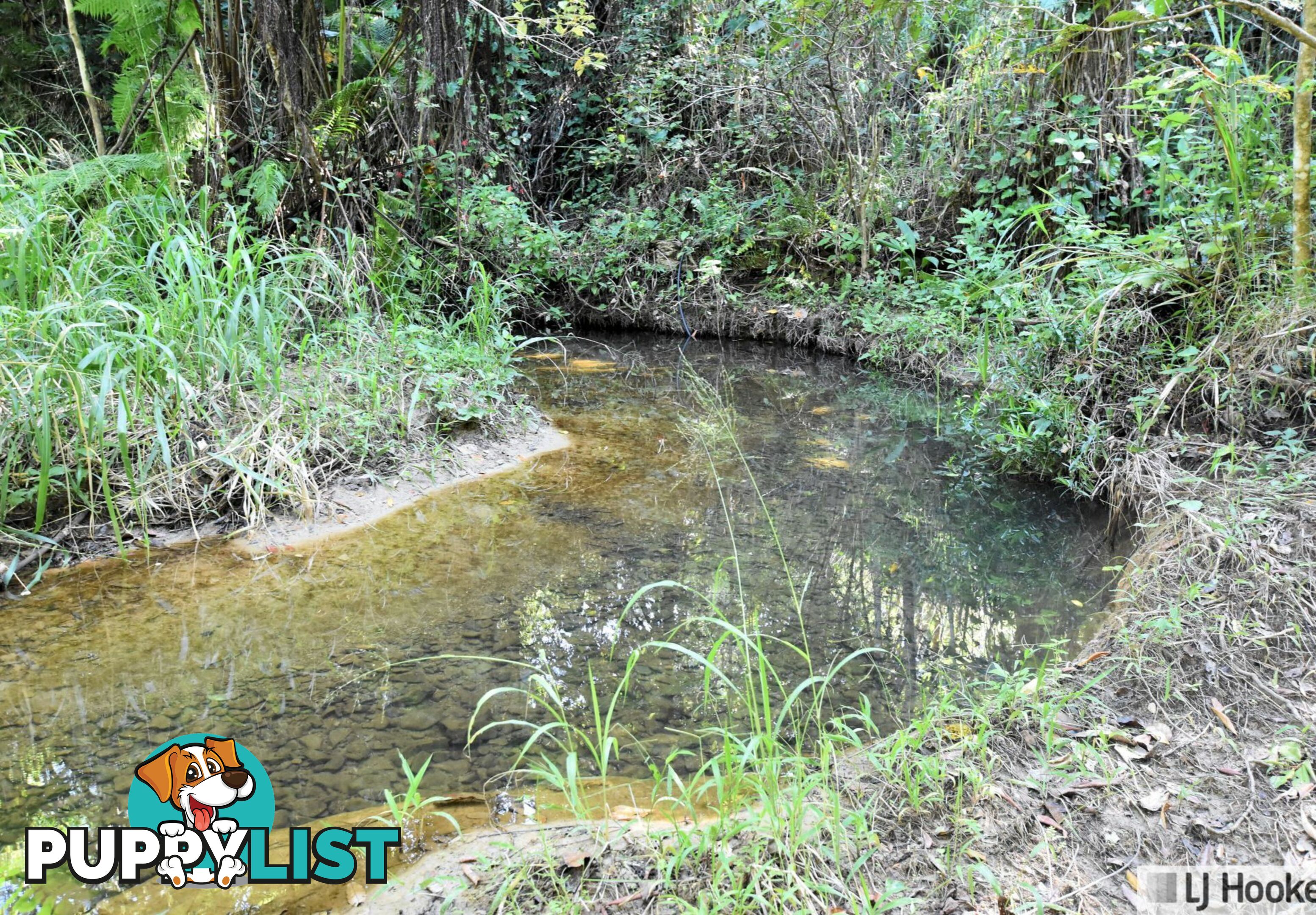 Lot 401 Granadilla Road GRANADILLA QLD 4855