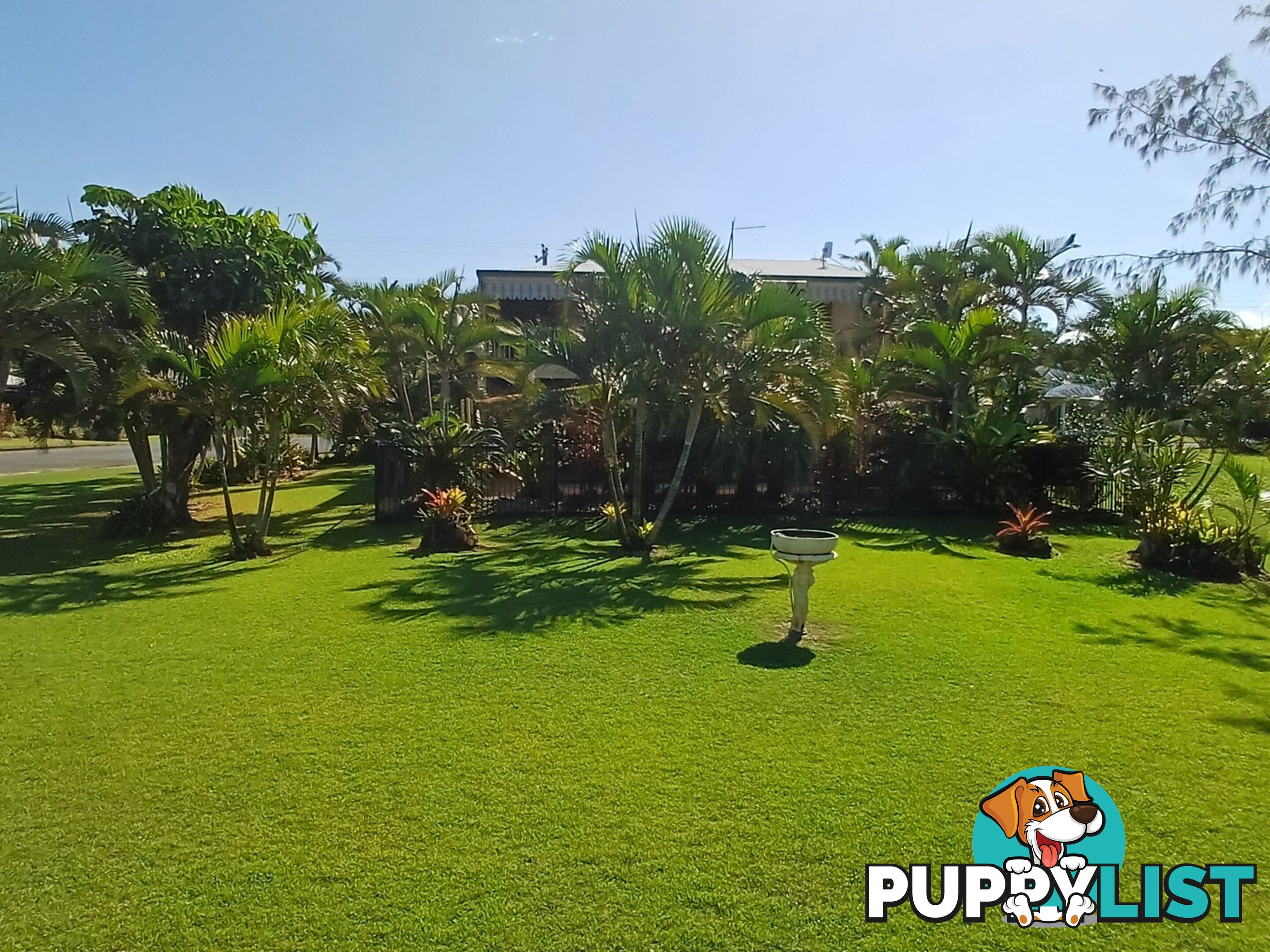 66 Taylor street TULLY HEADS QLD 4854